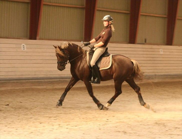 Undervisning hos Cathrine Dufour d.d. billede 7