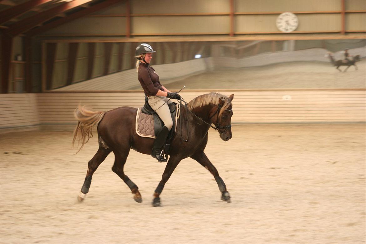 Undervisning hos Cathrine Dufour d.d. billede 15