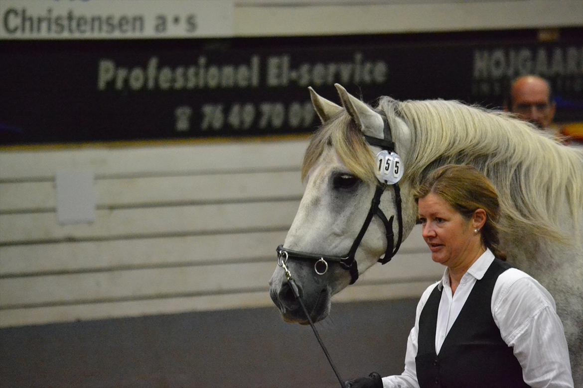 DAMOCHA 2011 - Relojero VII billede 25