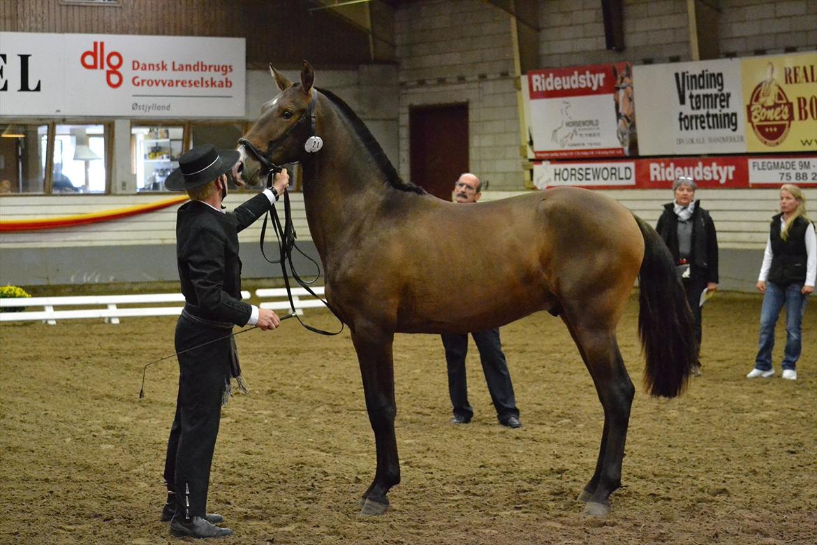 DAMOCHA 2011 - Equador F billede 43