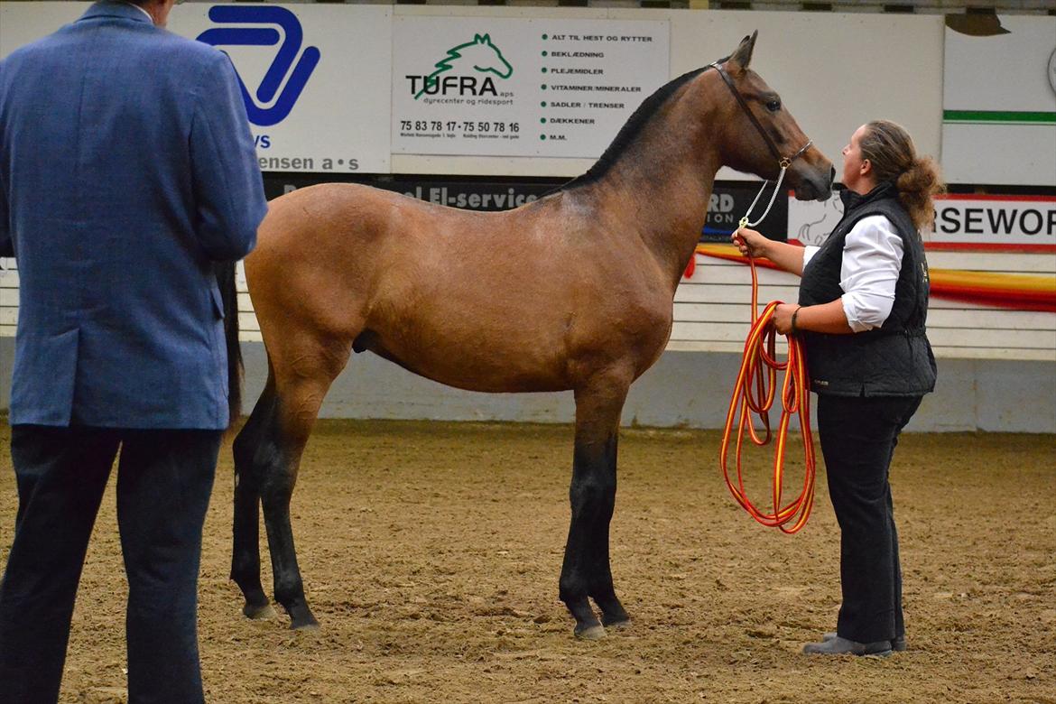 DAMOCHA 2011 - Poderoso MAR billede 44