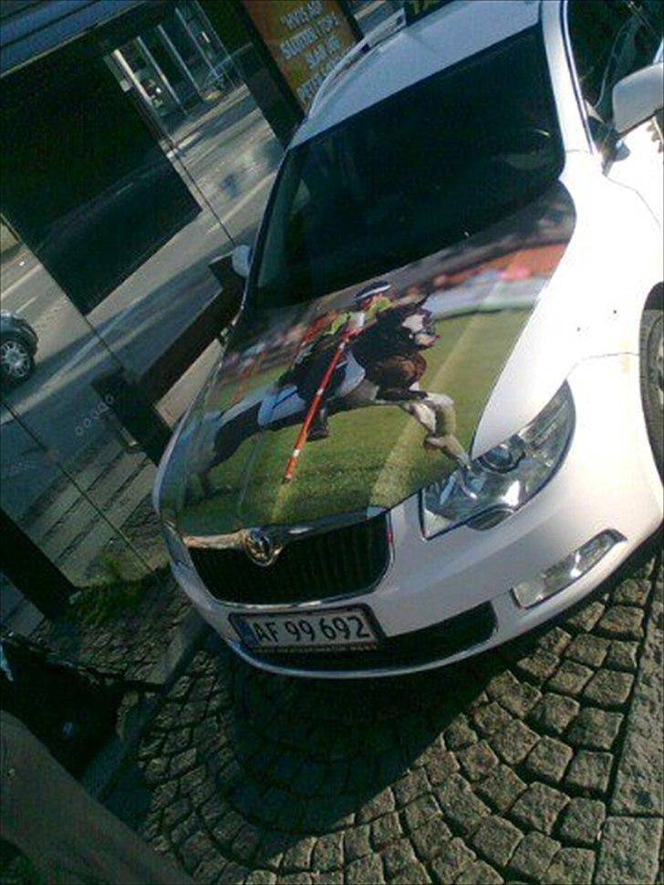 Reklame/Plakater!! NY - Reklame på taxi i Roskilde fra Store hestedag 2011 :) billede 3