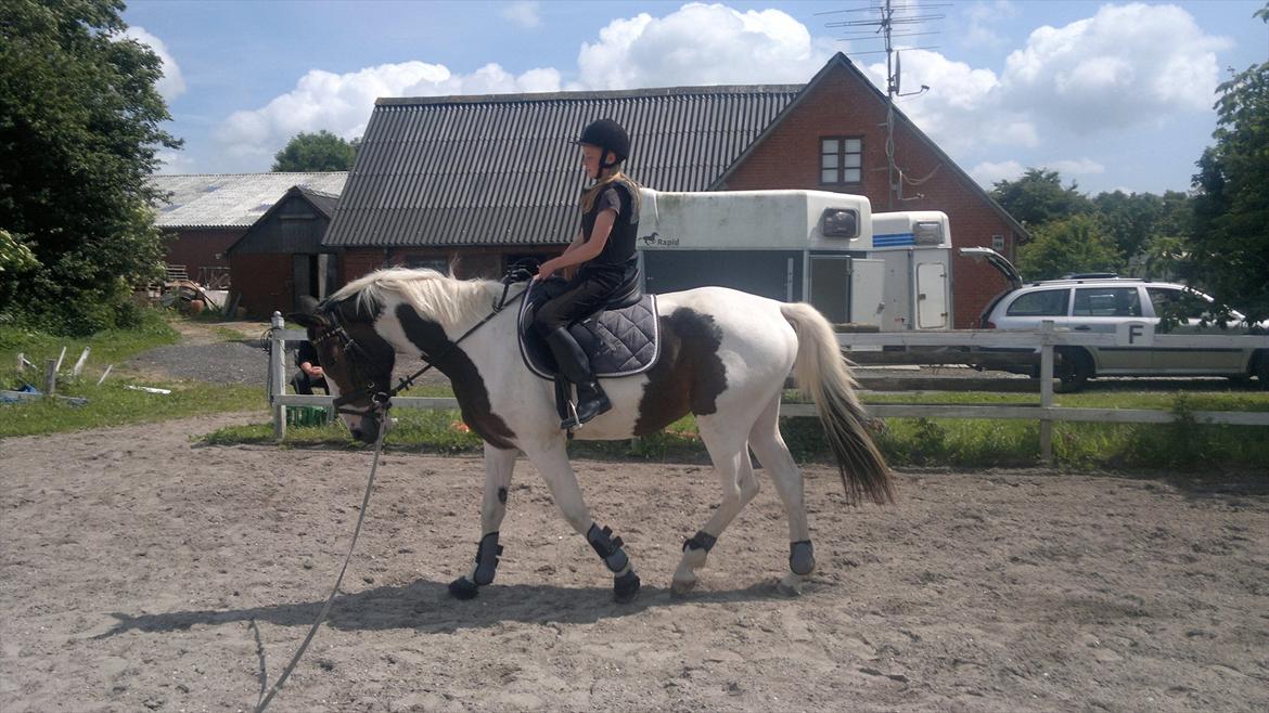 Matilde Bøgely og jeg gennem tiden - 12årig pige der rider hende, det går bare super til det kun er 4gang hun er rytter på ryggen :o)
 billede 103