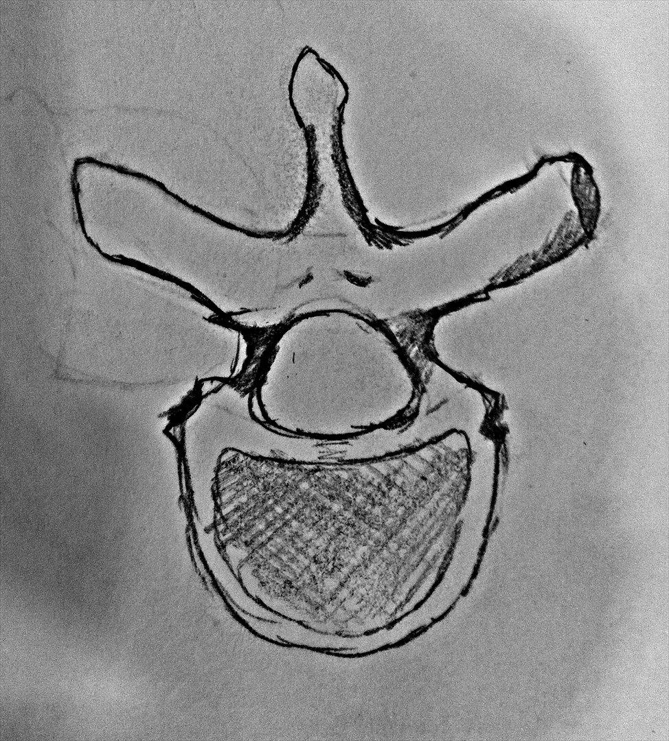 Tegninger billede 11
