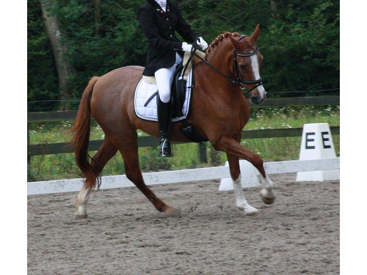 {{currentPhoto.altText}} billede {{currentPhoto.number}}