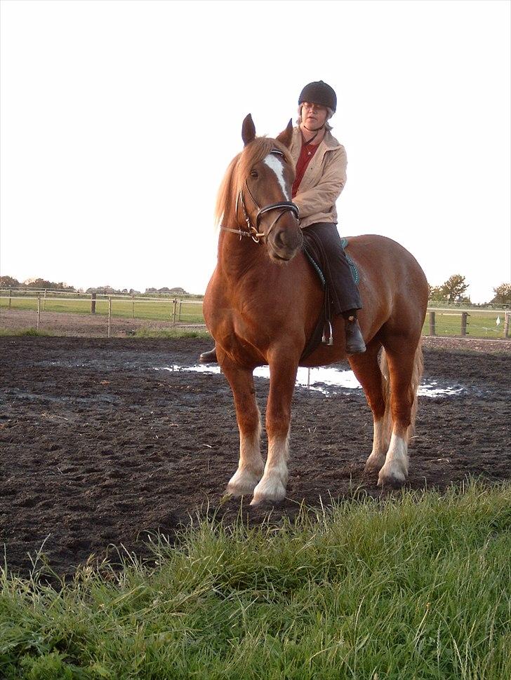 UNIK - Slesviger! - Maj 2007, vi er lige flyttet til Grønnegård billede 10