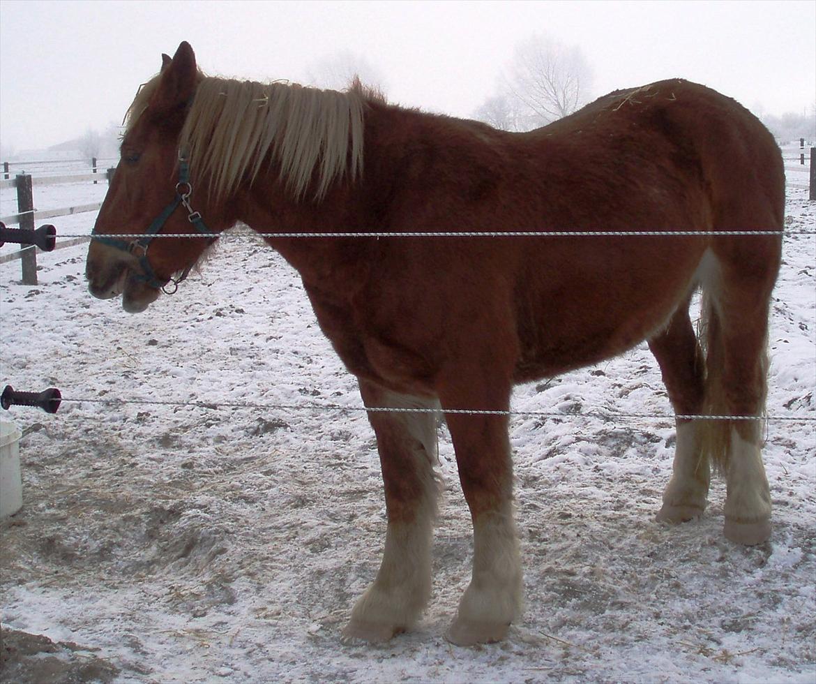 UNIK - Slesviger! - Marts 2006 billede 2