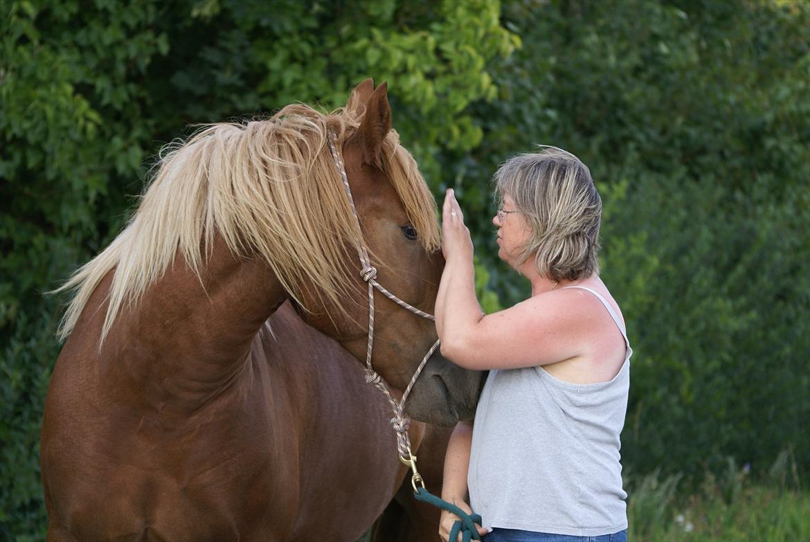 UNIK - Slesviger! billede 14