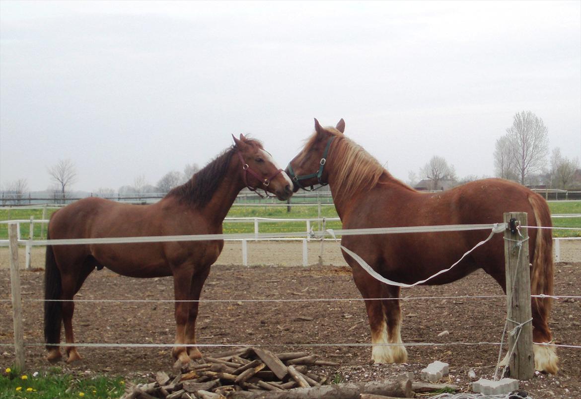 UNIK - Slesviger! - Tabasko og UNIK billede 22