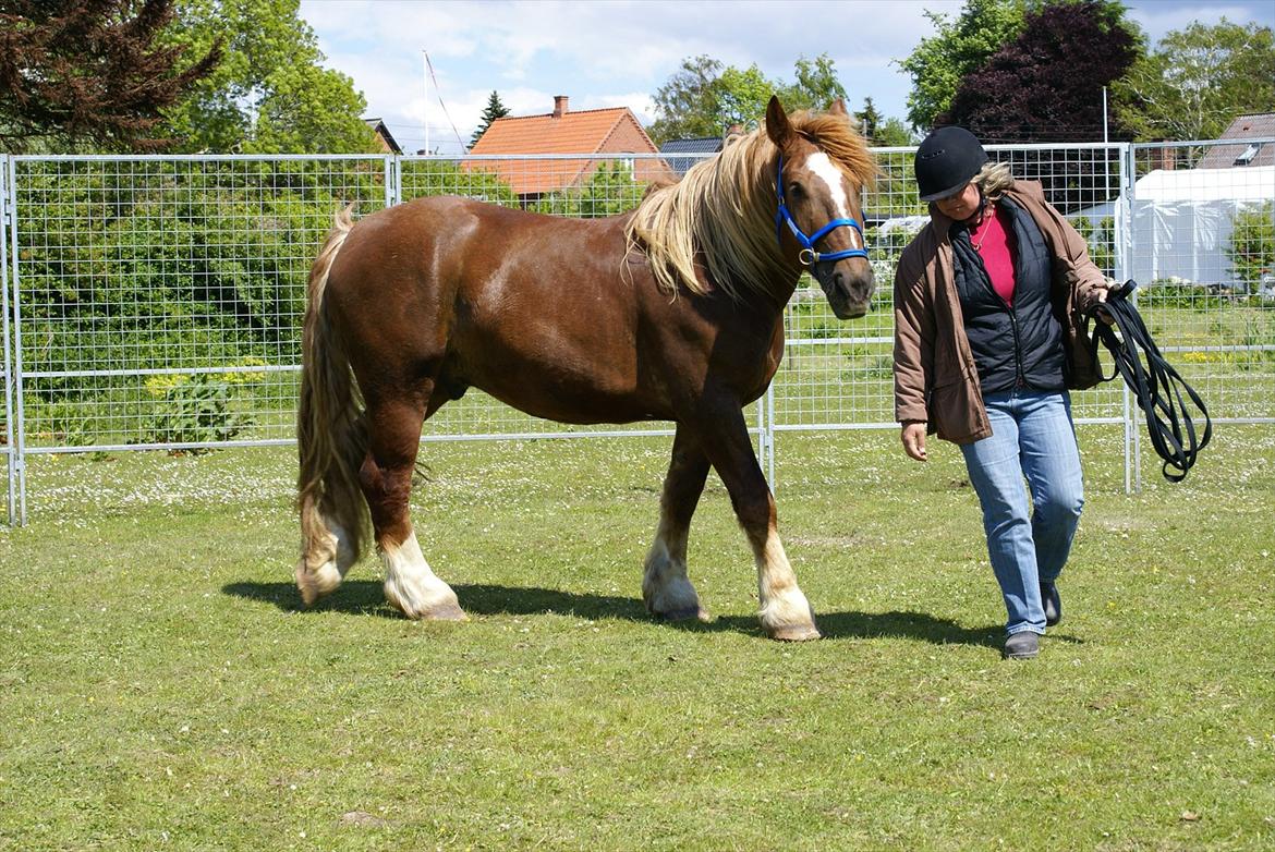 UNIK - Slesviger! - Kursus hos Maj-Britt Carter...... 2008 billede 25