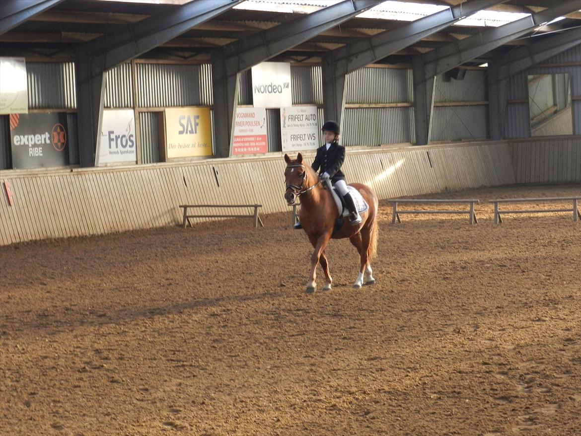 Stævne i Roager Rideklub d. 24/9 2011 billede 7
