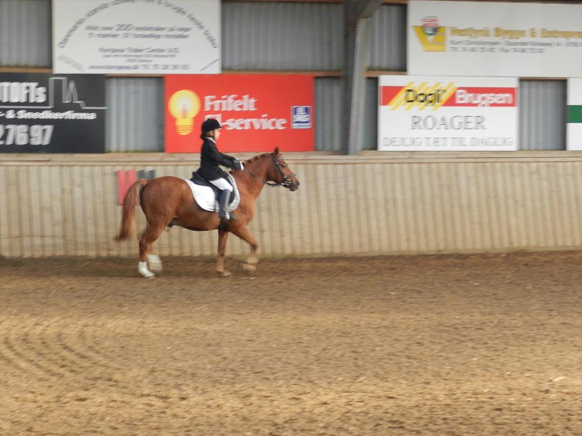 Stævne i Roager Rideklub d. 24/9 2011 billede 8