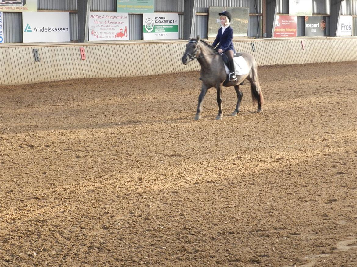 Stævne i Roager Rideklub d. 24/9 2011 billede 11
