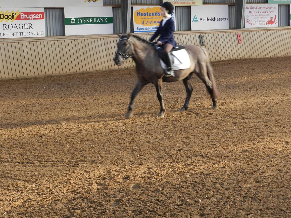 Stævne i Roager Rideklub d. 24/9 2011 billede 12