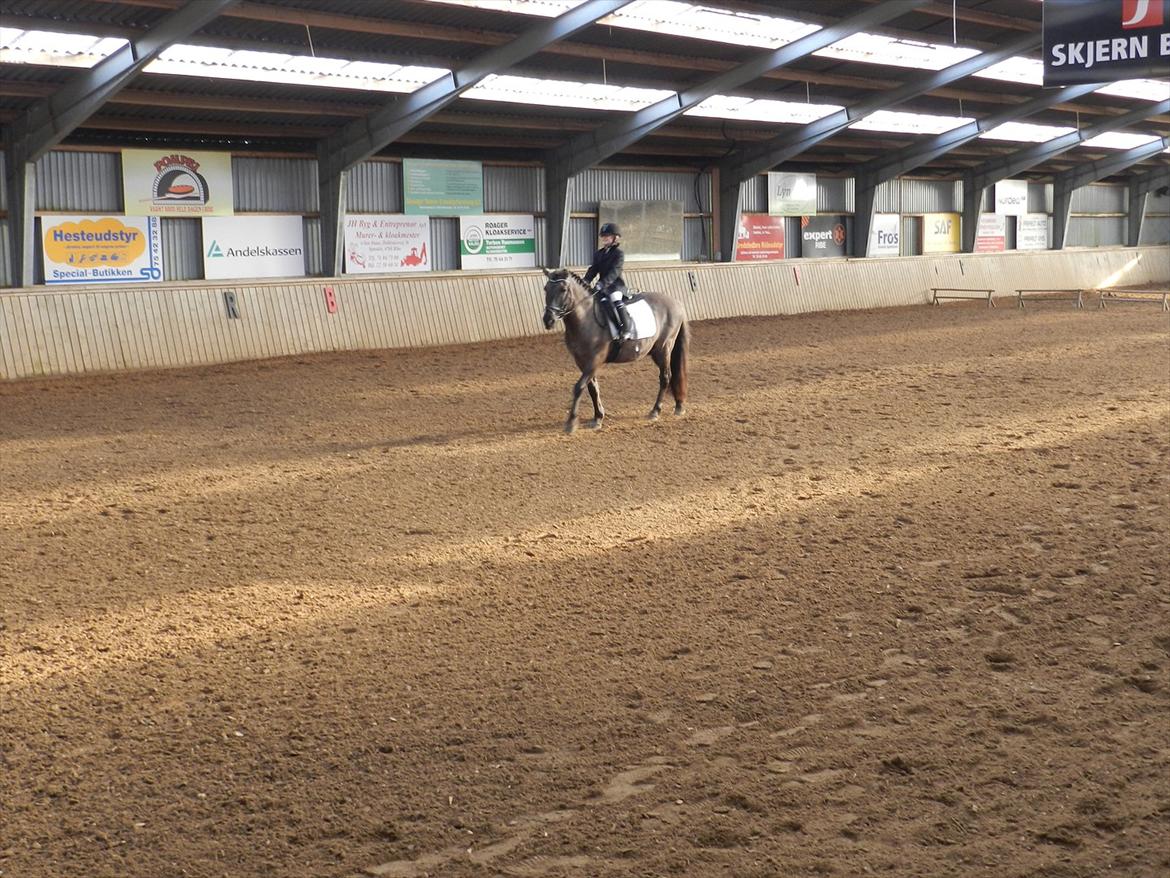 Stævne i Roager Rideklub d. 24/9 2011 billede 13