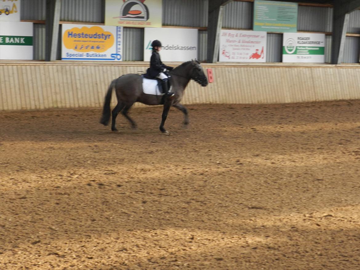 Stævne i Roager Rideklub d. 24/9 2011 billede 14