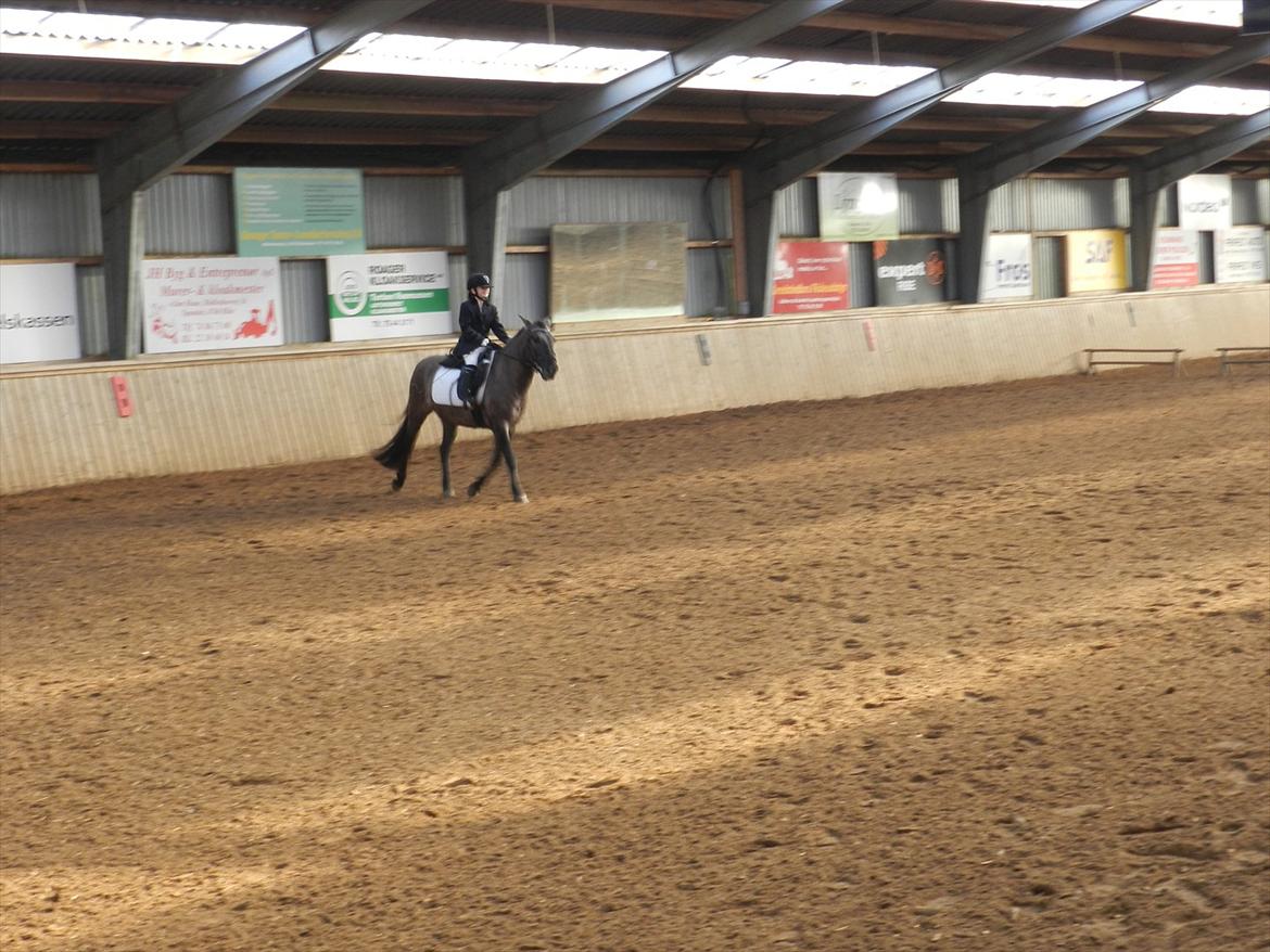 Stævne i Roager Rideklub d. 24/9 2011 billede 15