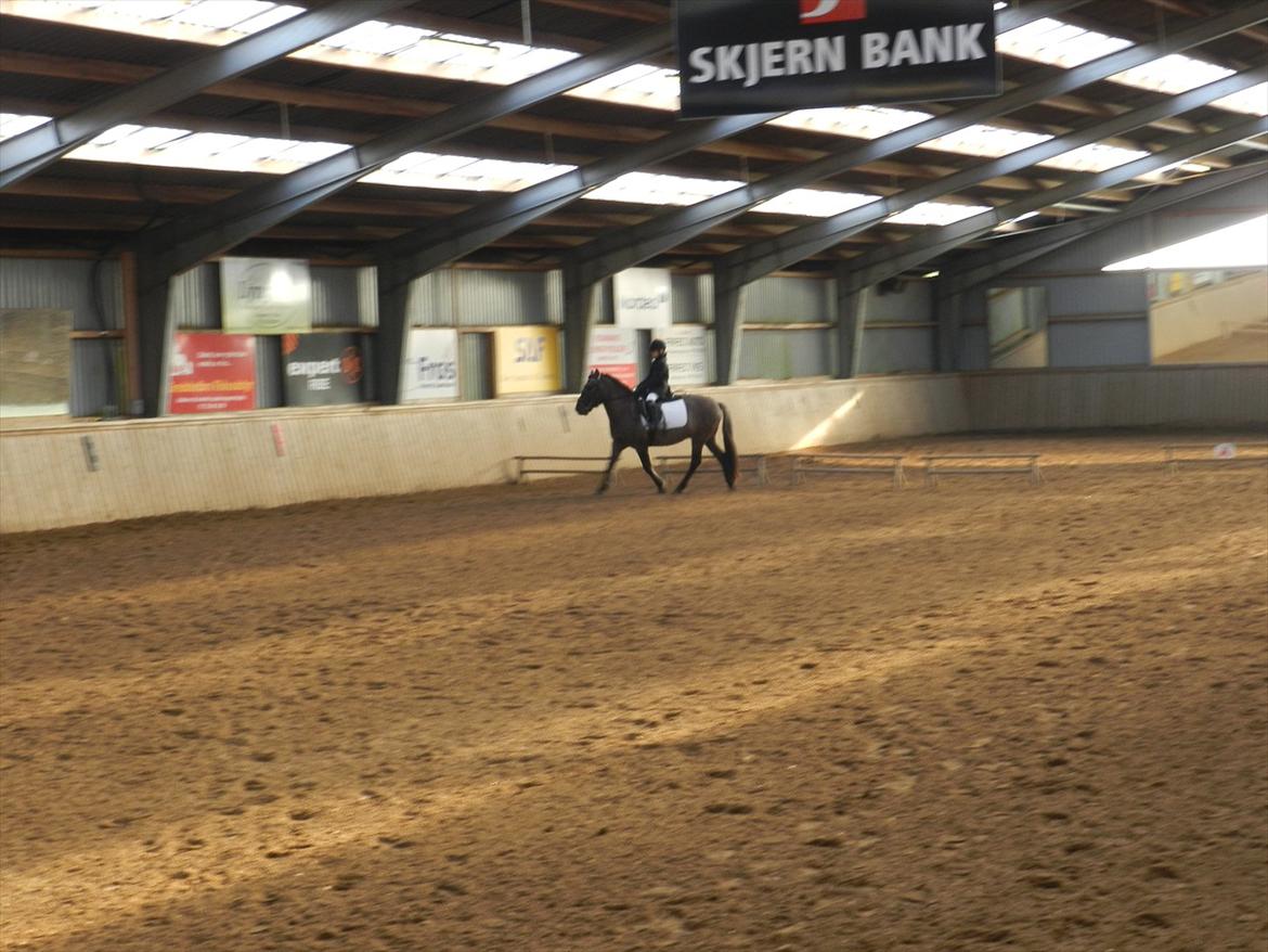 Stævne i Roager Rideklub d. 24/9 2011 billede 16