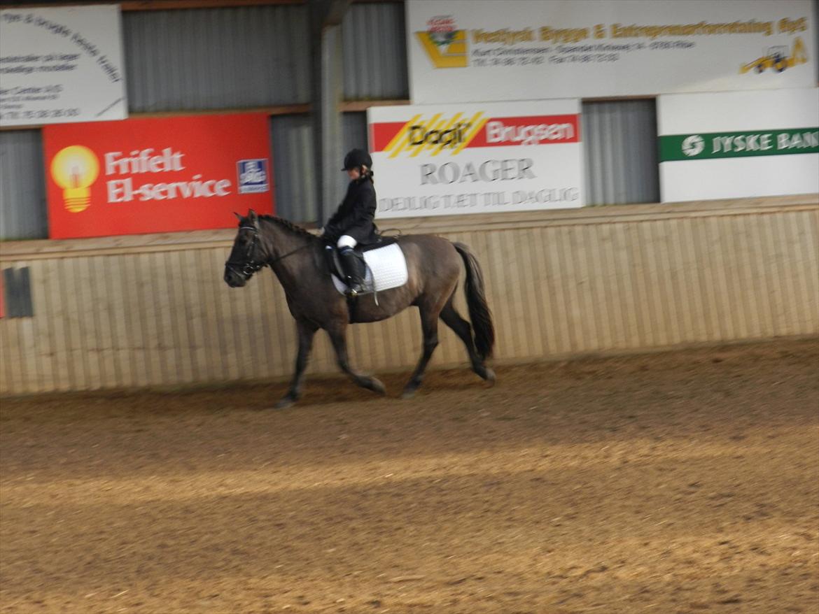 Stævne i Roager Rideklub d. 24/9 2011 billede 17