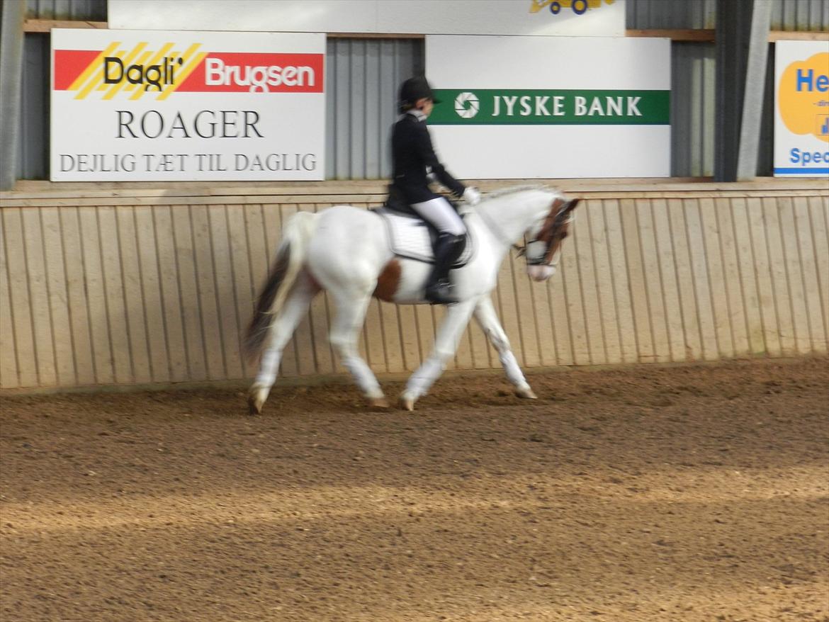 Stævne i Roager Rideklub d. 24/9 2011 billede 18