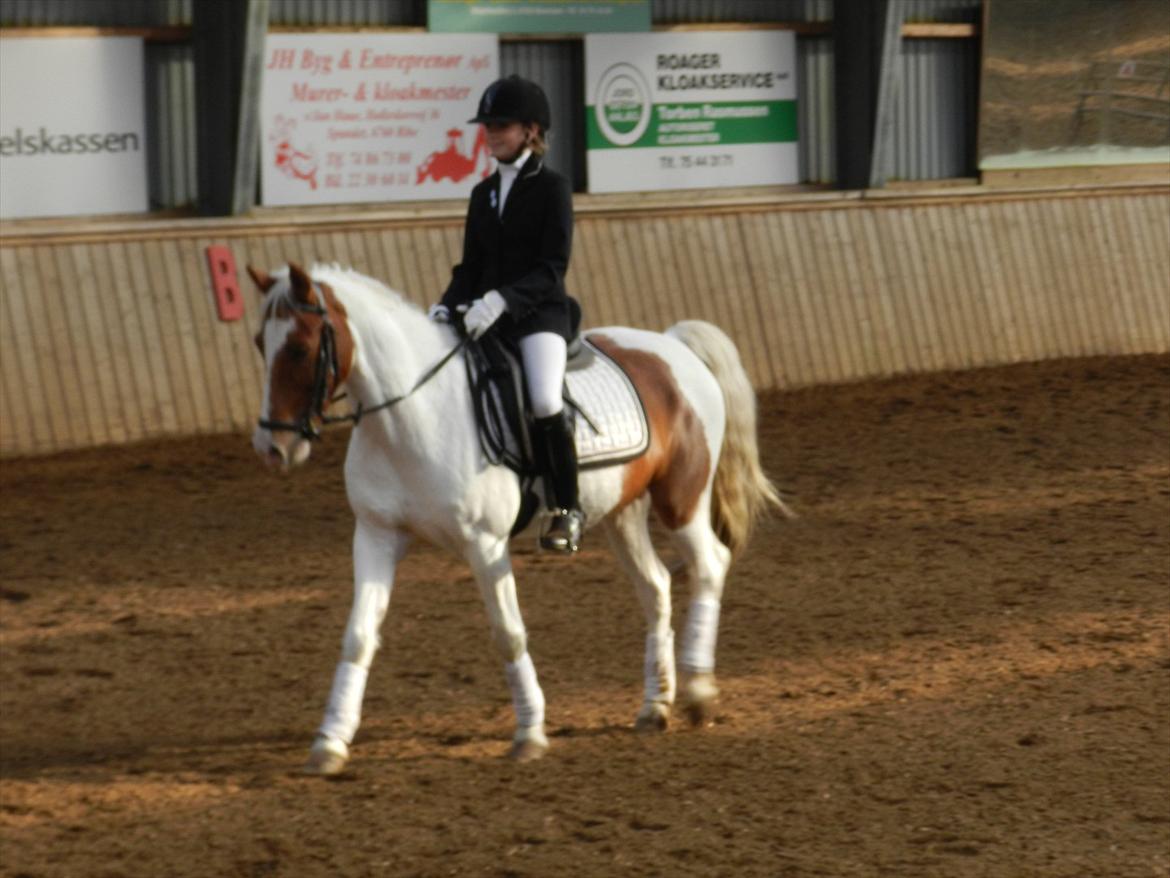 Stævne i Roager Rideklub d. 24/9 2011 billede 20