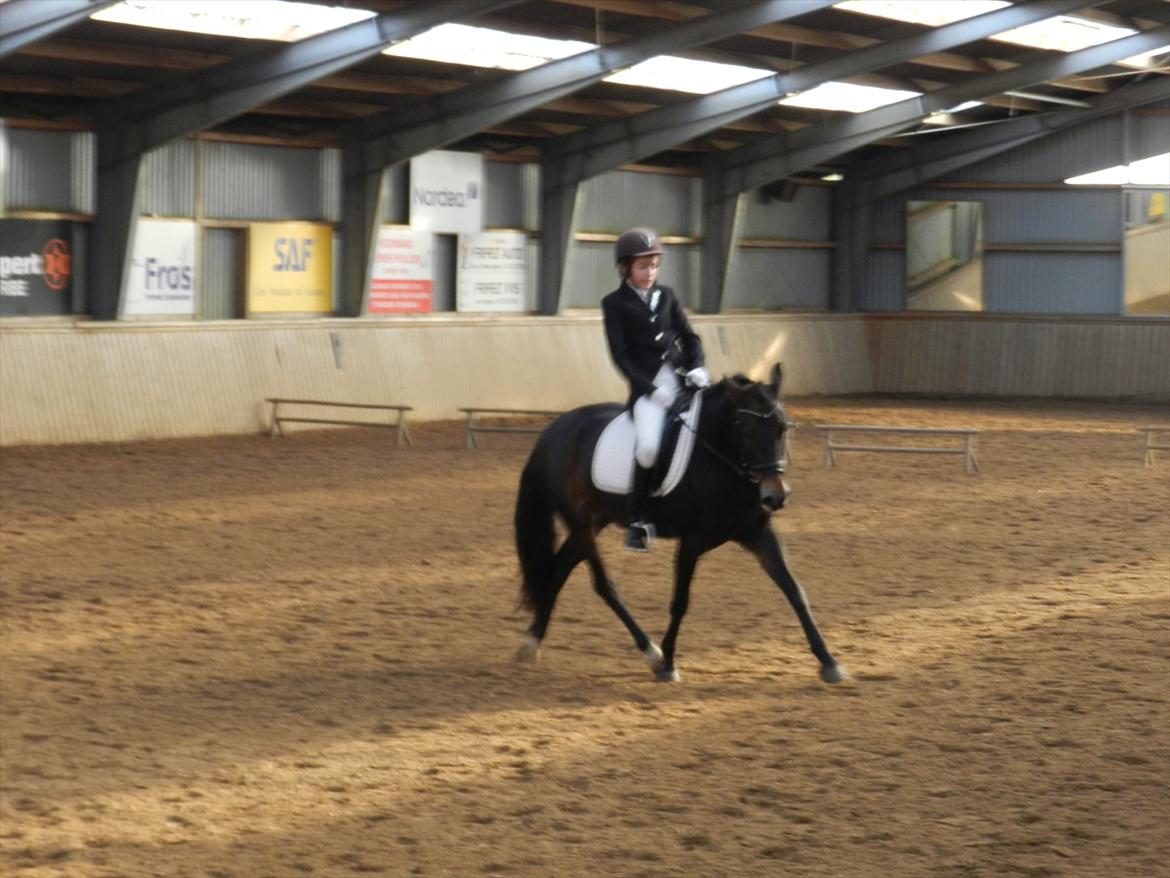 Stævne i Roager Rideklub d. 24/9 2011 billede 21