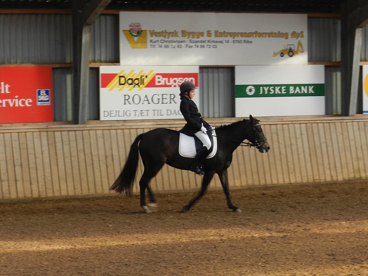 Stævne i Roager Rideklub d. 24/9 2011 billede 22