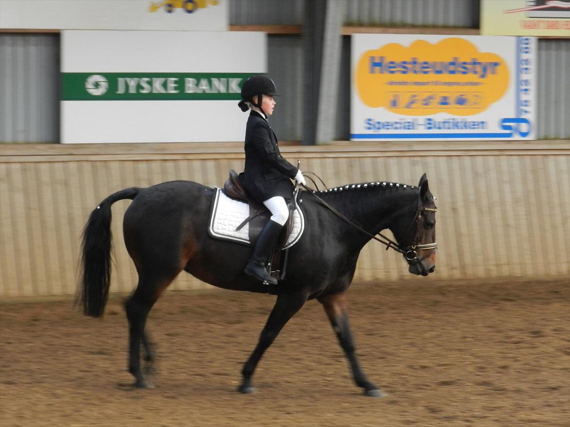 Stævne i Roager Rideklub d. 24/9 2011 billede 23