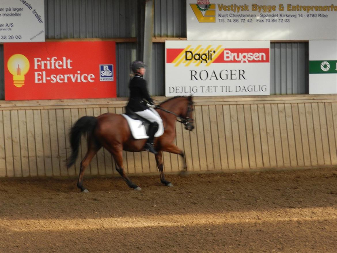 Stævne i Roager Rideklub d. 24/9 2011 billede 24