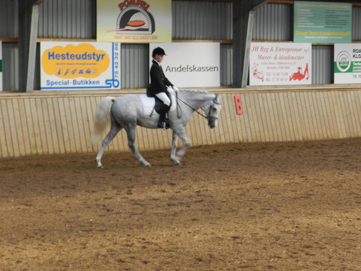 Stævne i Roager Rideklub d. 24/9 2011 billede 25