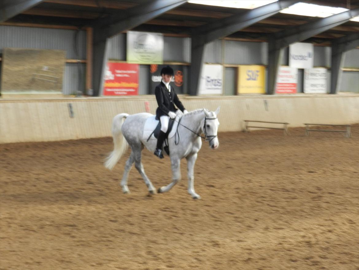 Stævne i Roager Rideklub d. 24/9 2011 billede 26