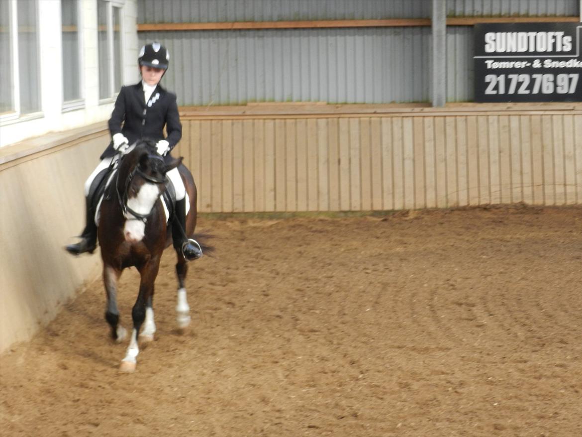 Stævne i Roager Rideklub d. 24/9 2011 billede 27