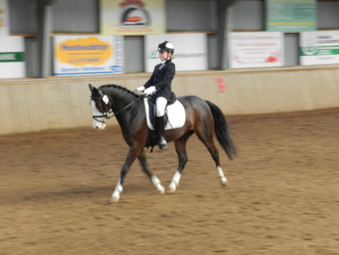 Stævne i Roager Rideklub d. 24/9 2011 billede 28