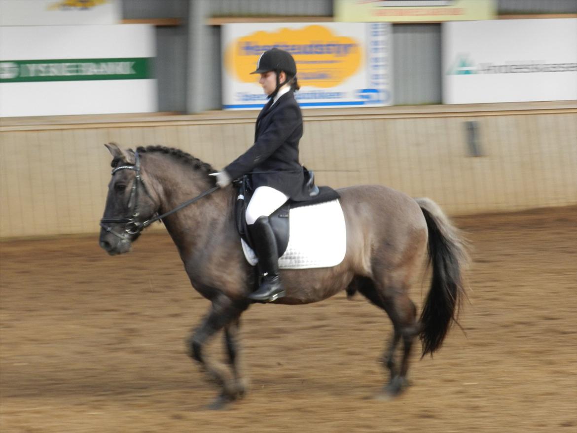 Stævne i Roager Rideklub d. 24/9 2011 billede 31