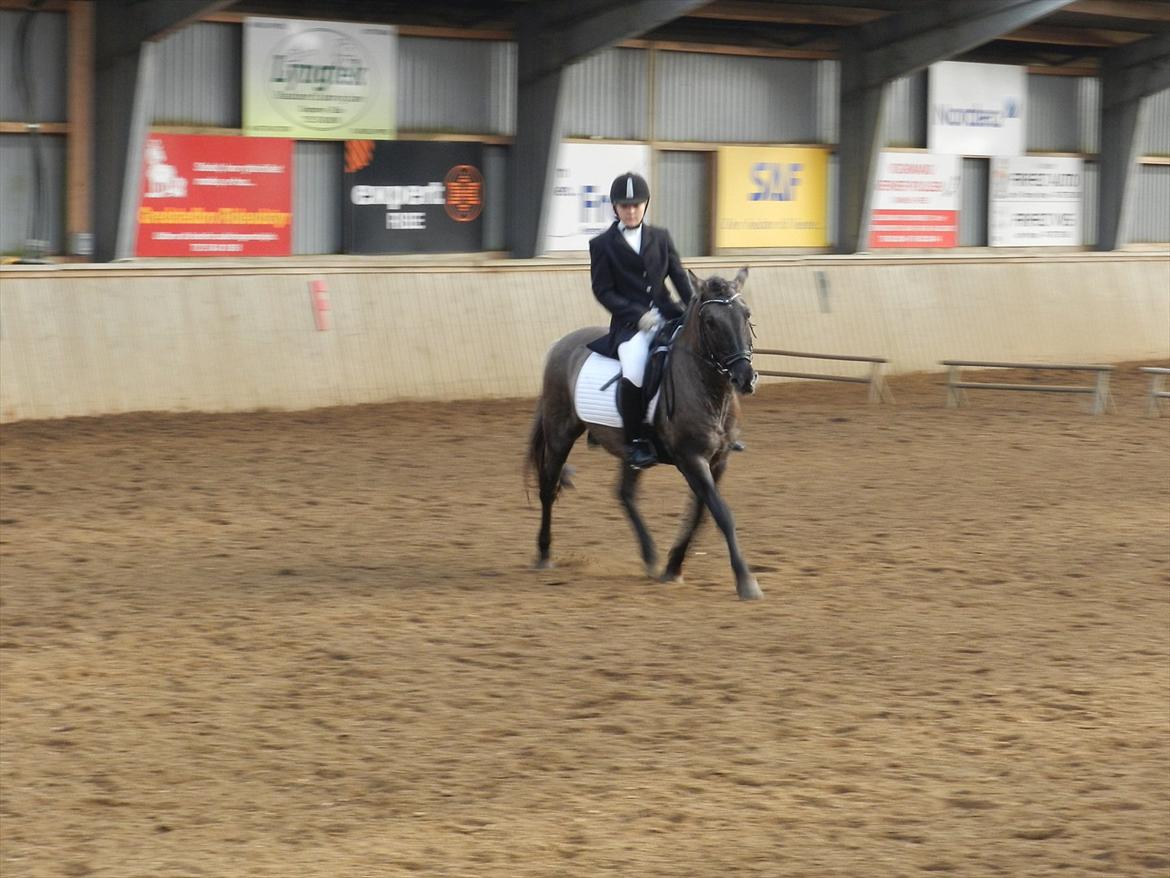 Stævne i Roager Rideklub d. 24/9 2011 billede 32