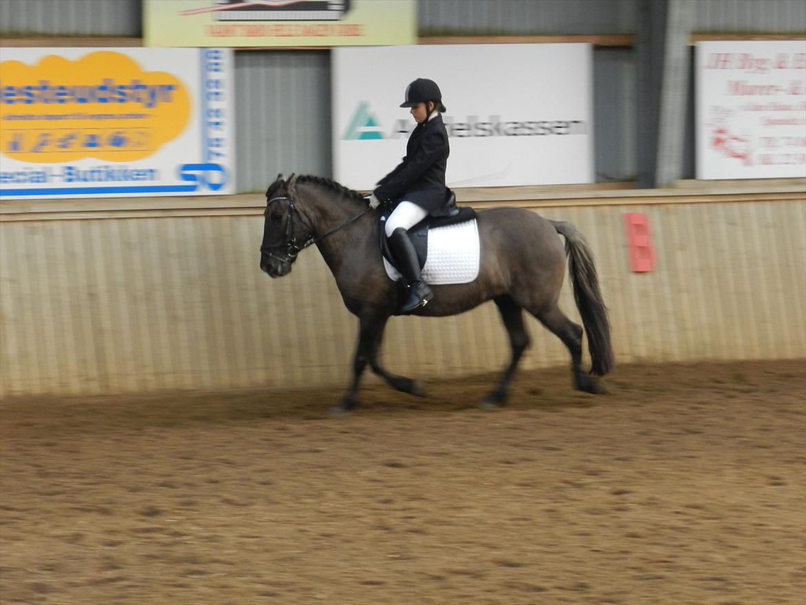 Stævne i Roager Rideklub d. 24/9 2011 billede 33