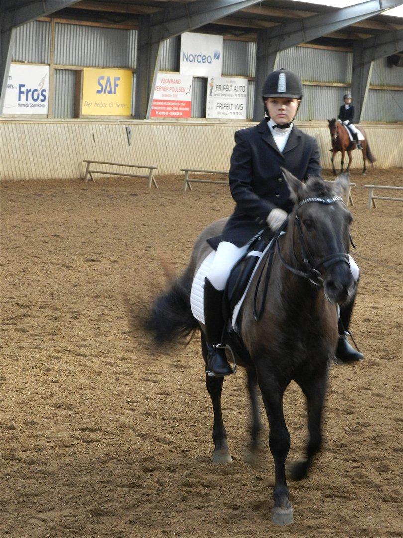 Stævne i Roager Rideklub d. 24/9 2011 billede 35