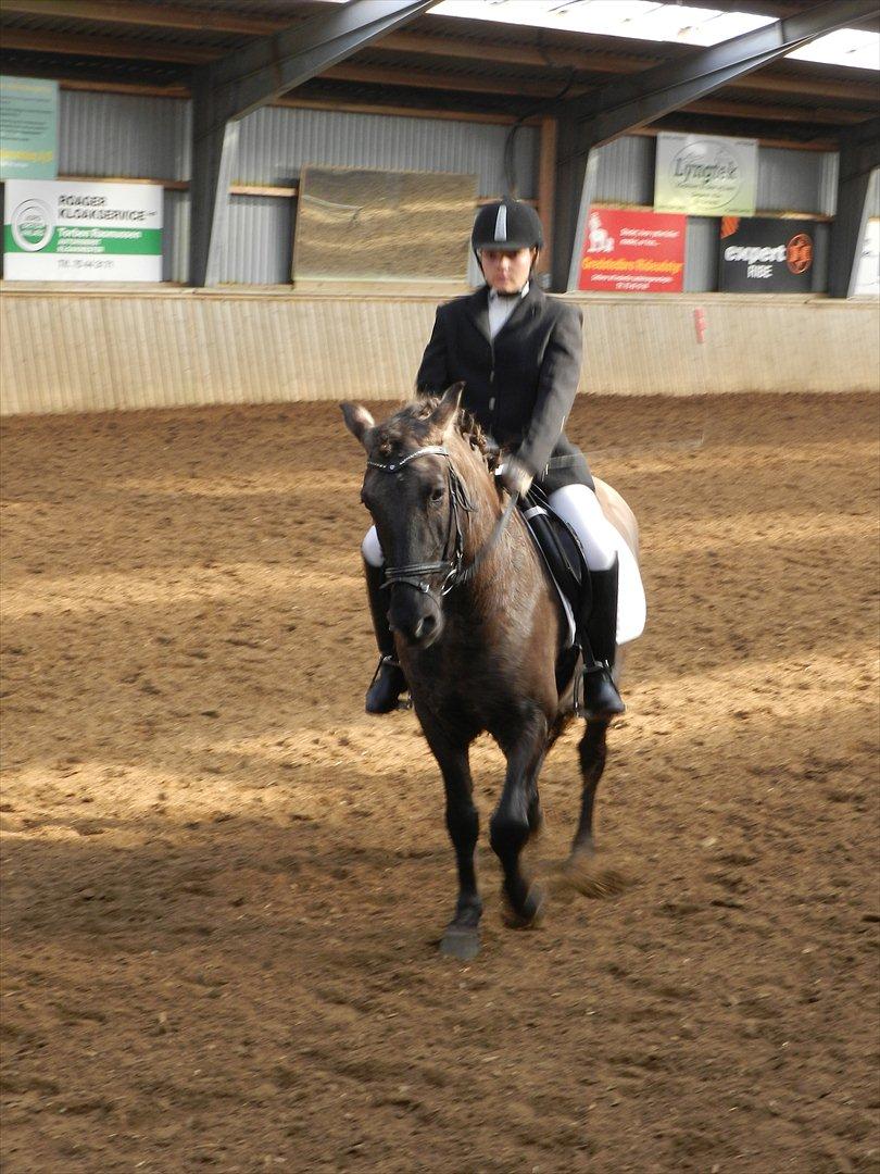 Stævne i Roager Rideklub d. 24/9 2011 billede 36