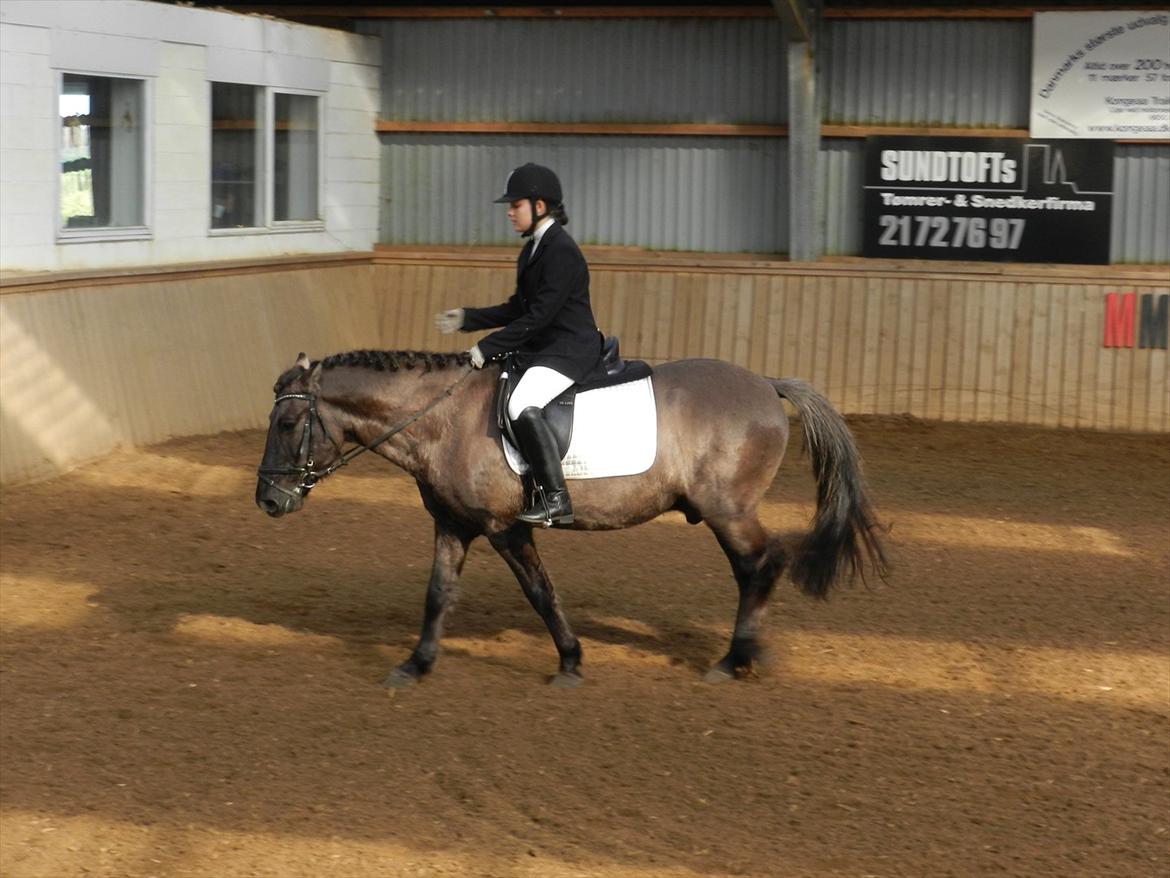 Stævne i Roager Rideklub d. 24/9 2011 billede 38