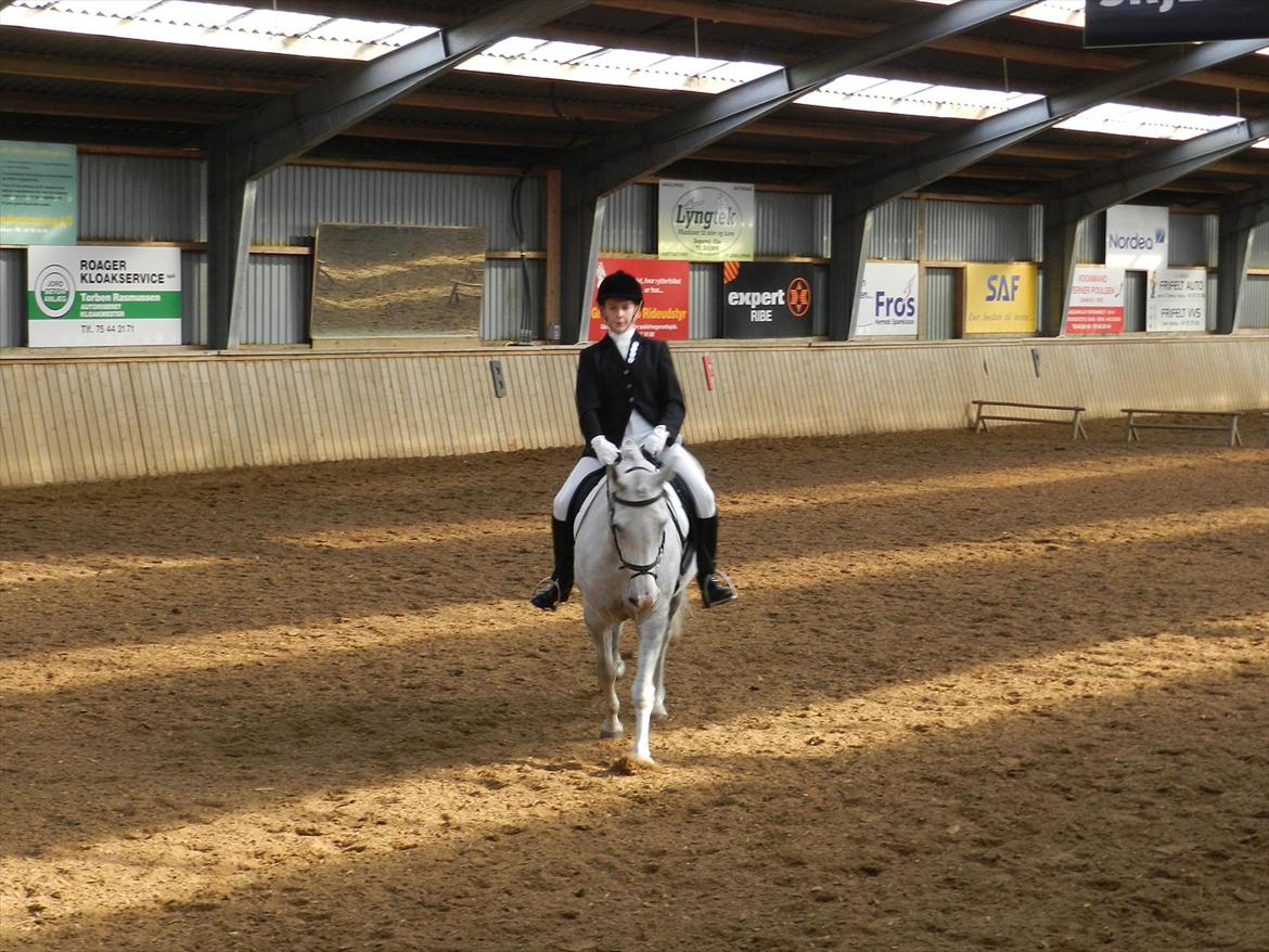 Stævne i Roager Rideklub d. 24/9 2011 billede 41