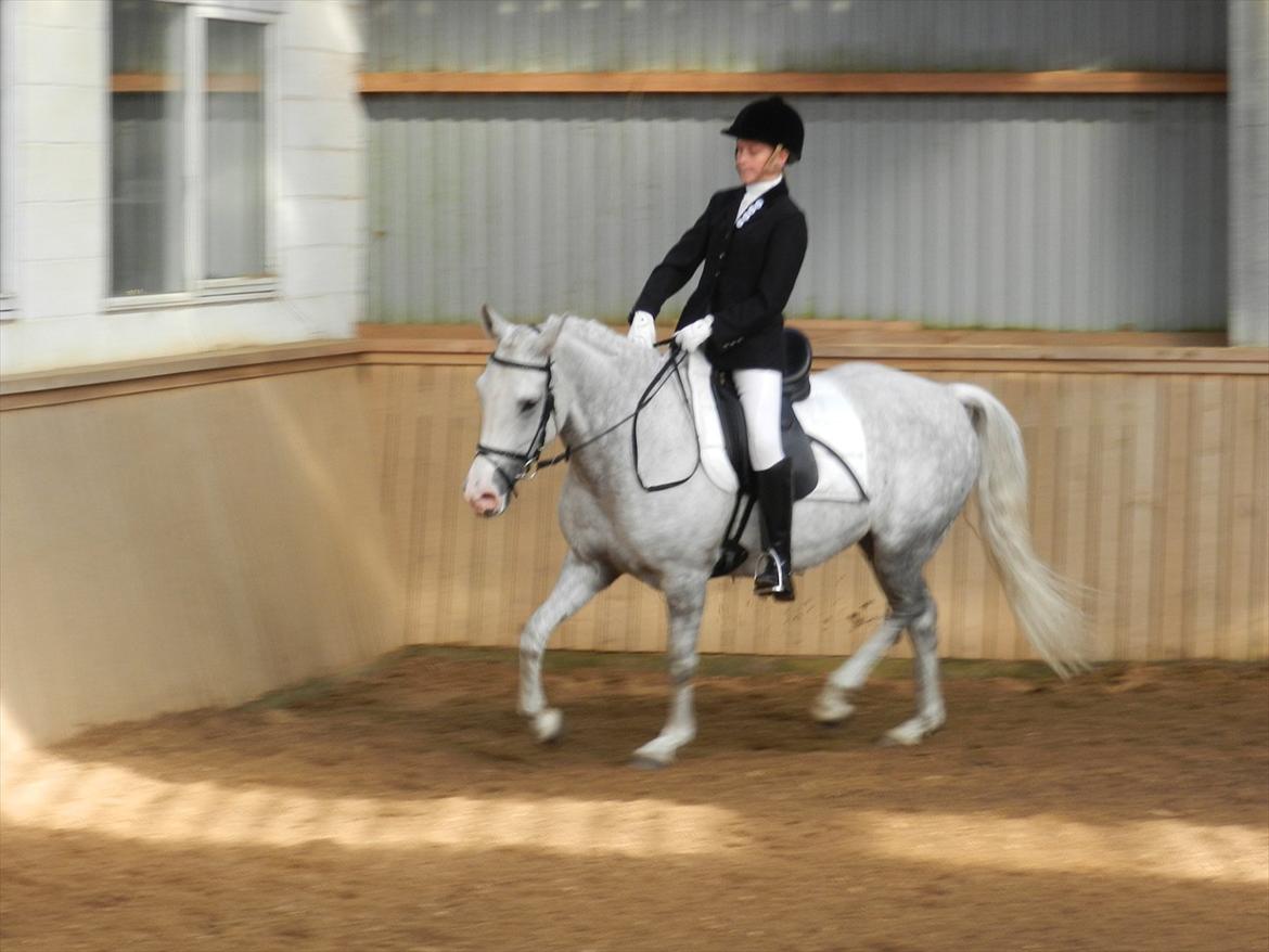 Stævne i Roager Rideklub d. 24/9 2011 billede 42