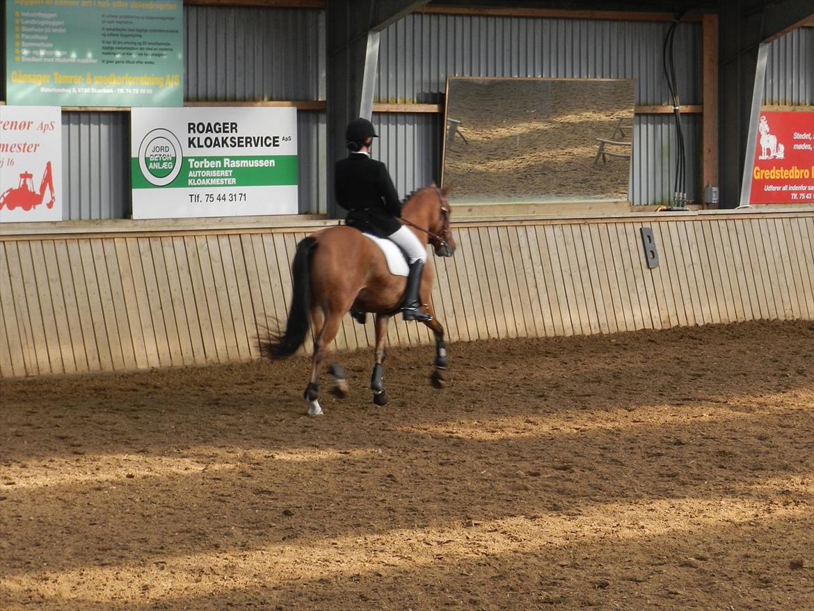 Stævne i Roager Rideklub d. 24/9 2011 billede 43