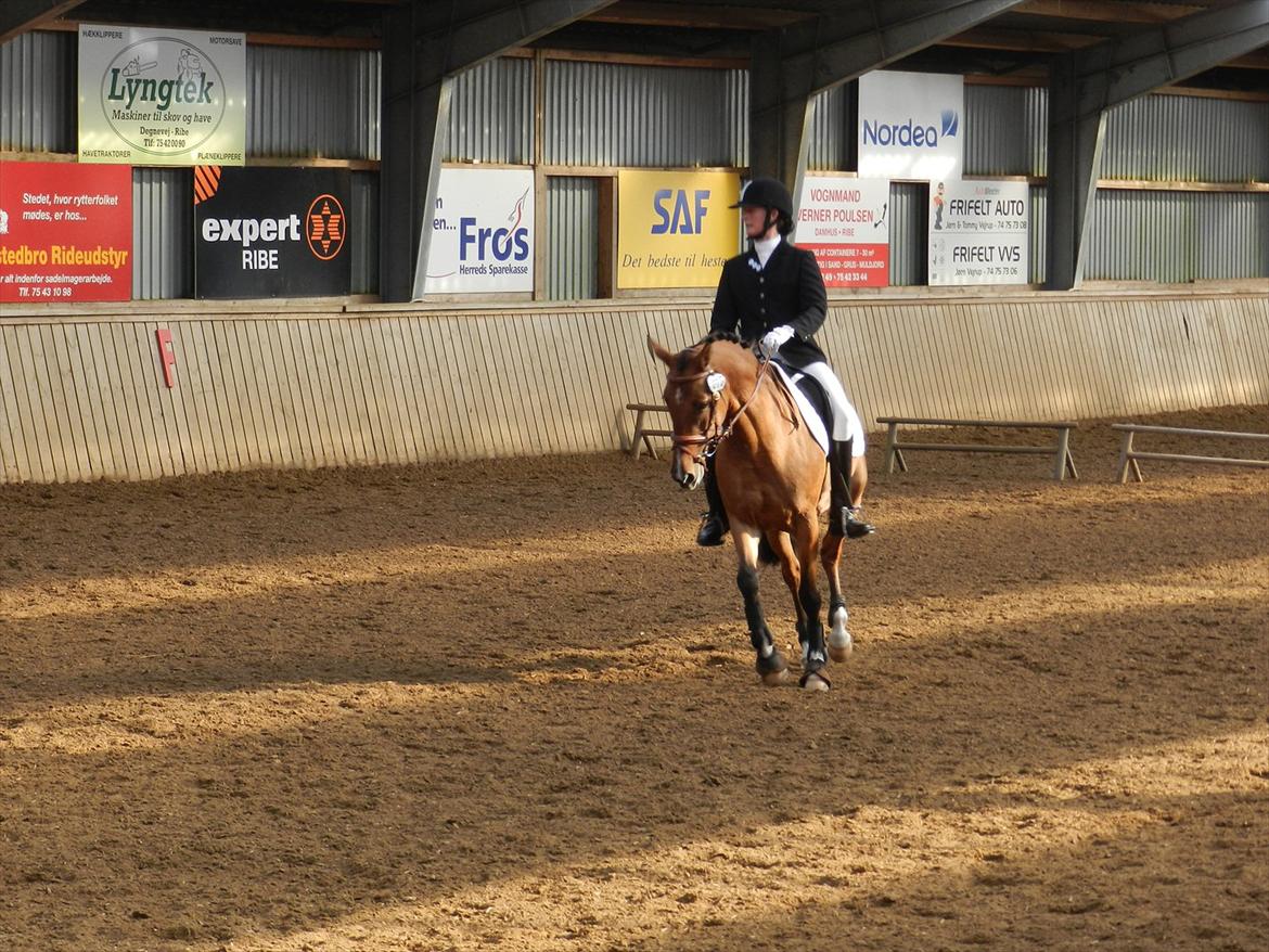 Stævne i Roager Rideklub d. 24/9 2011 billede 44