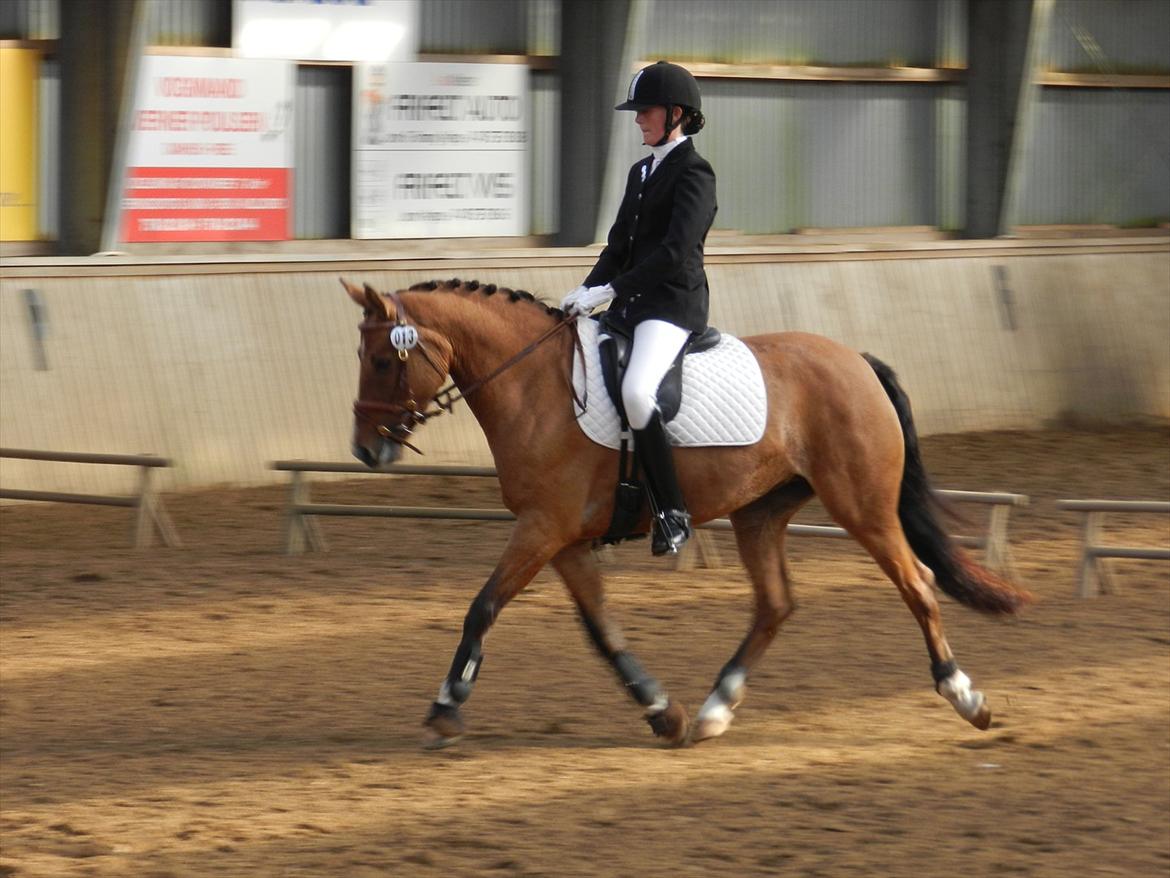 Stævne i Roager Rideklub d. 24/9 2011 billede 6