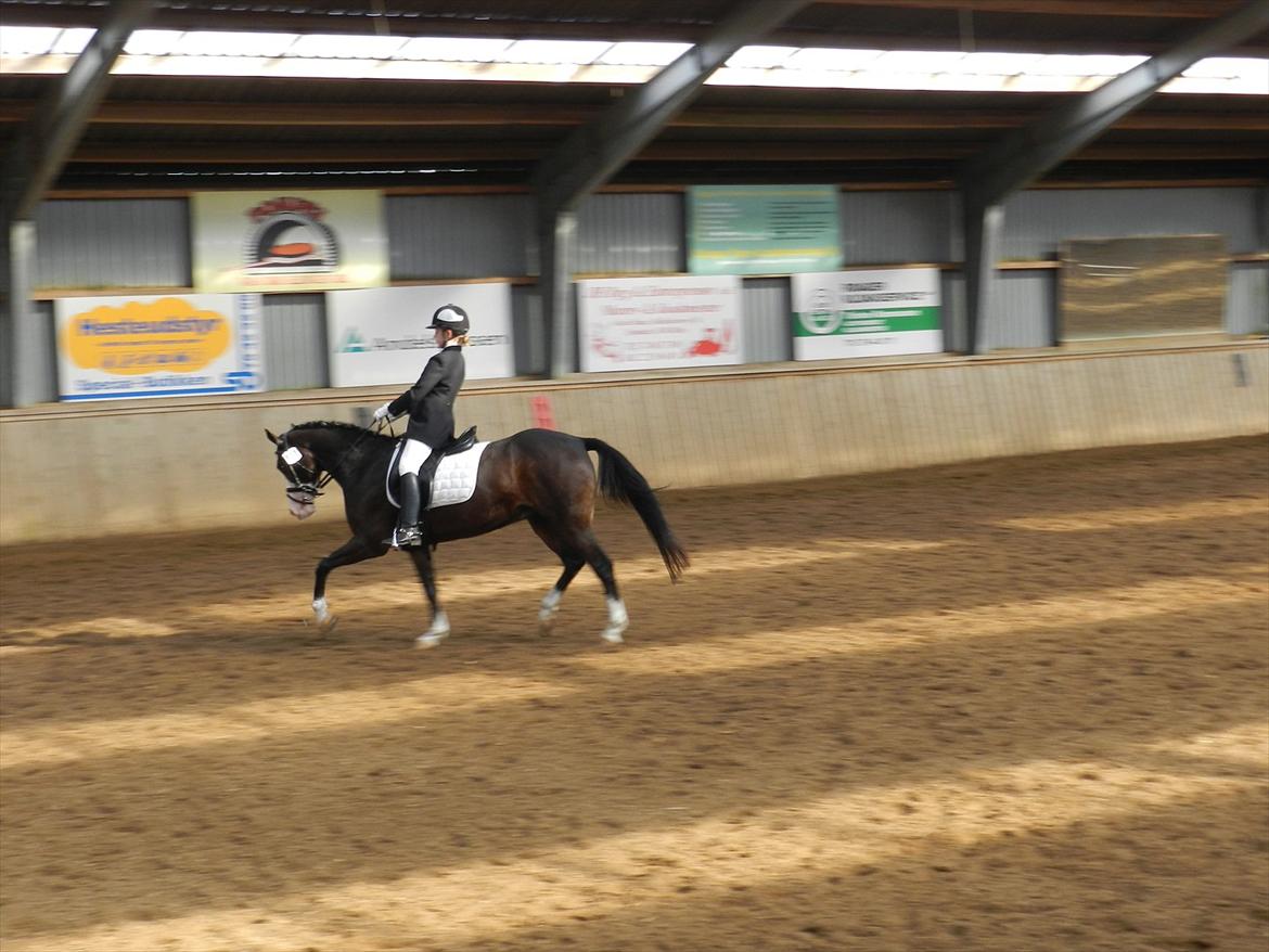 Stævne i Roager Rideklub d. 24/9 2011 billede 46