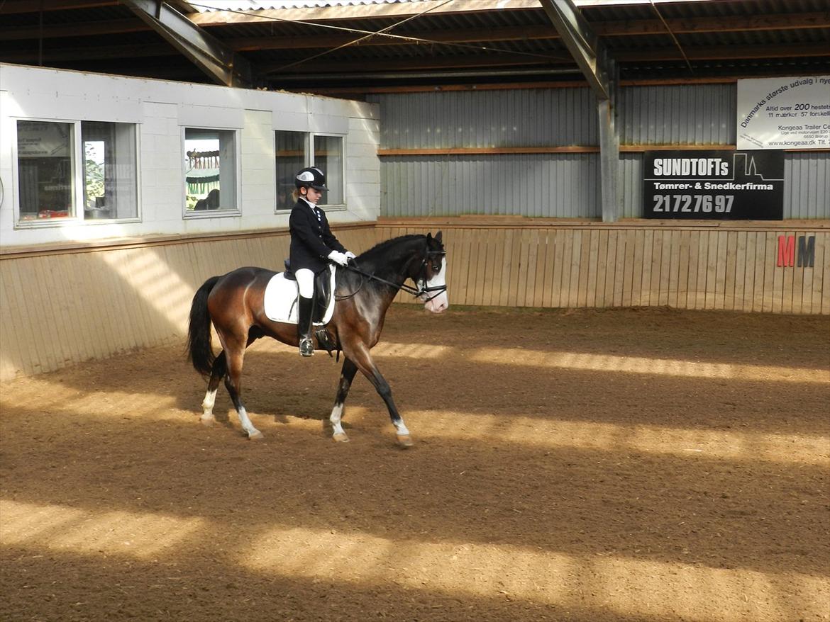 Stævne i Roager Rideklub d. 24/9 2011 billede 47