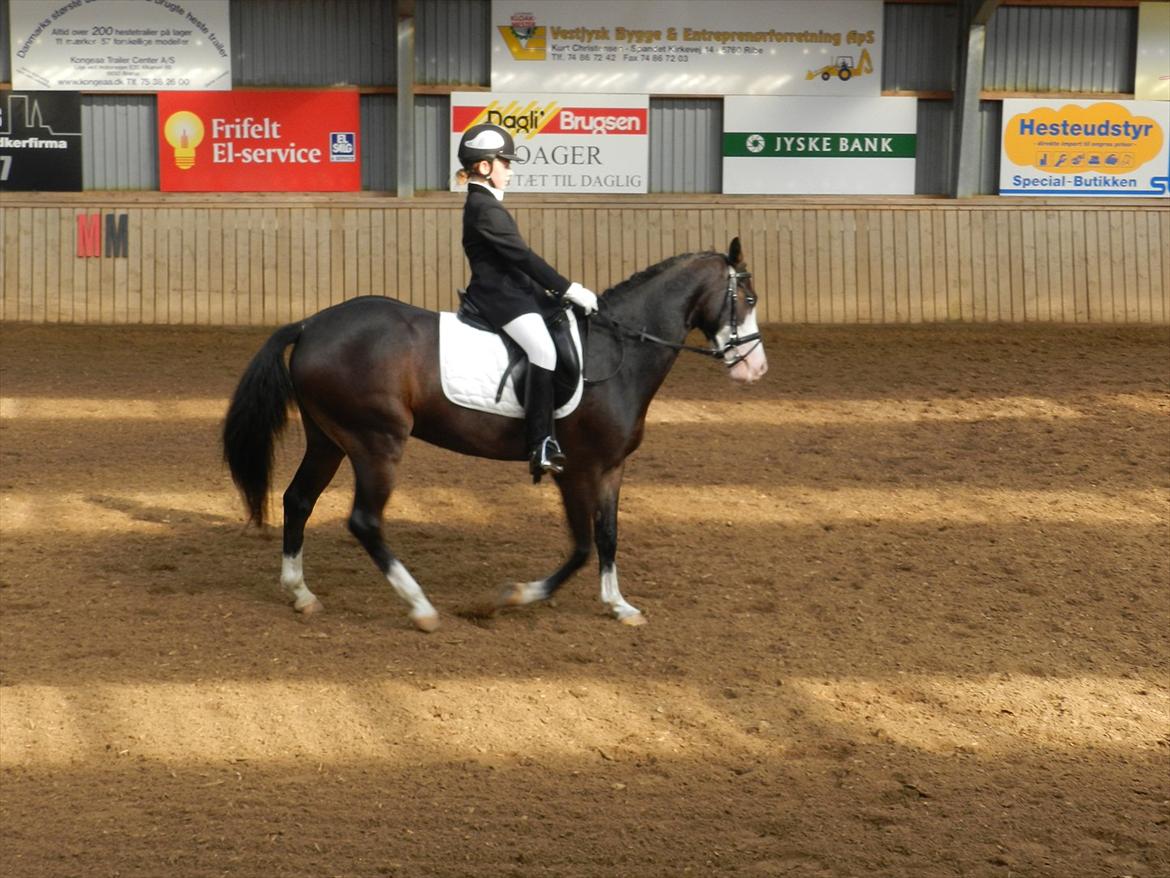 Stævne i Roager Rideklub d. 24/9 2011 billede 48