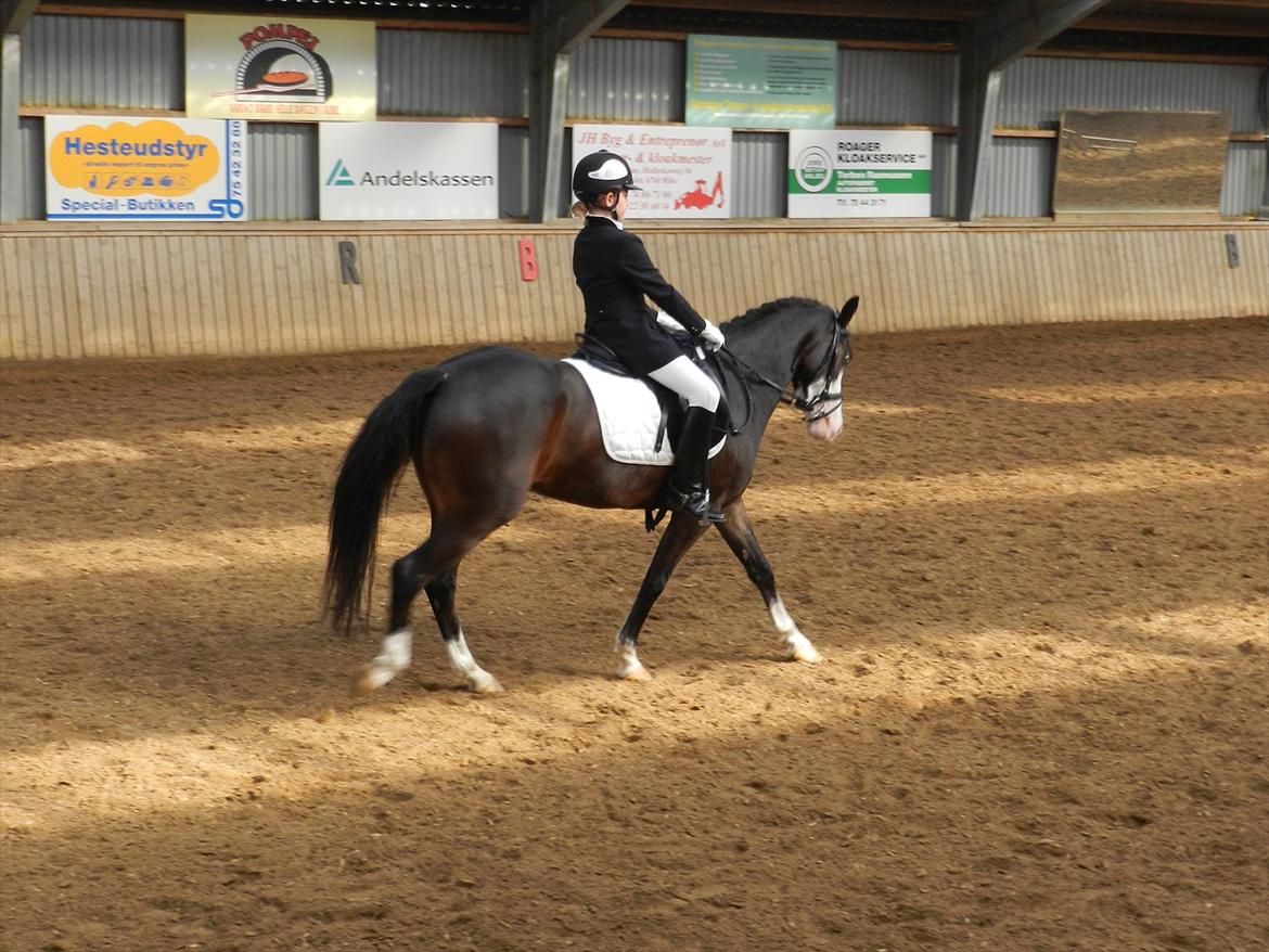 Stævne i Roager Rideklub d. 24/9 2011 billede 49