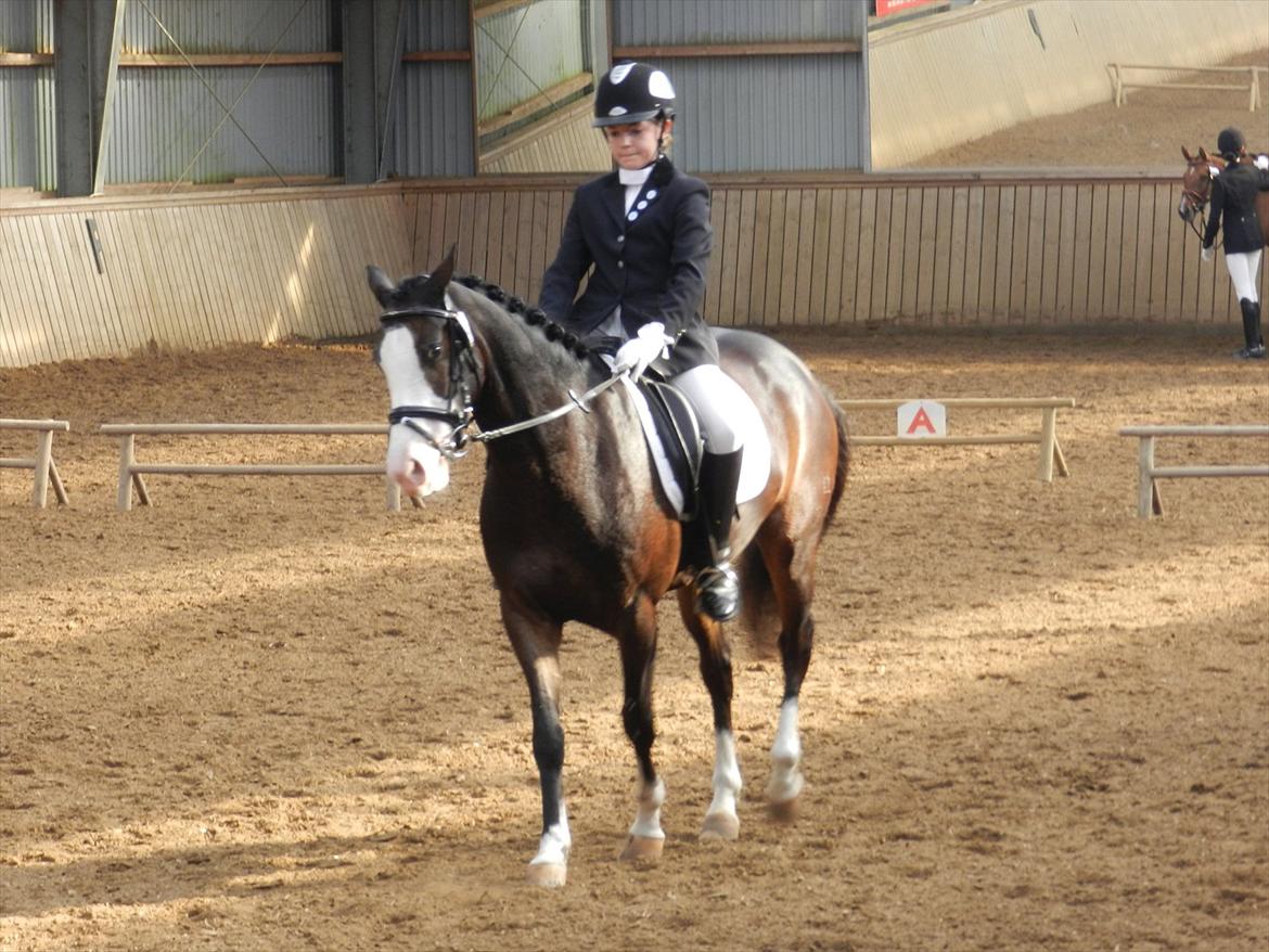 Stævne i Roager Rideklub d. 24/9 2011 billede 50