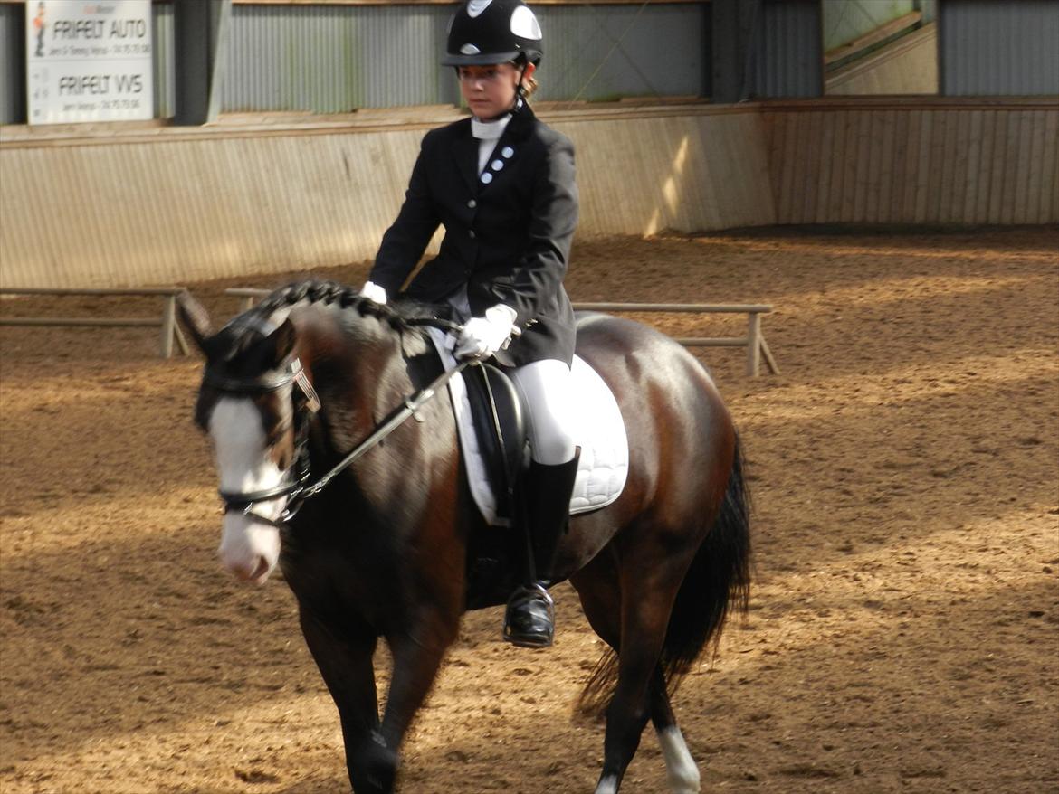 Stævne i Roager Rideklub d. 24/9 2011 billede 51